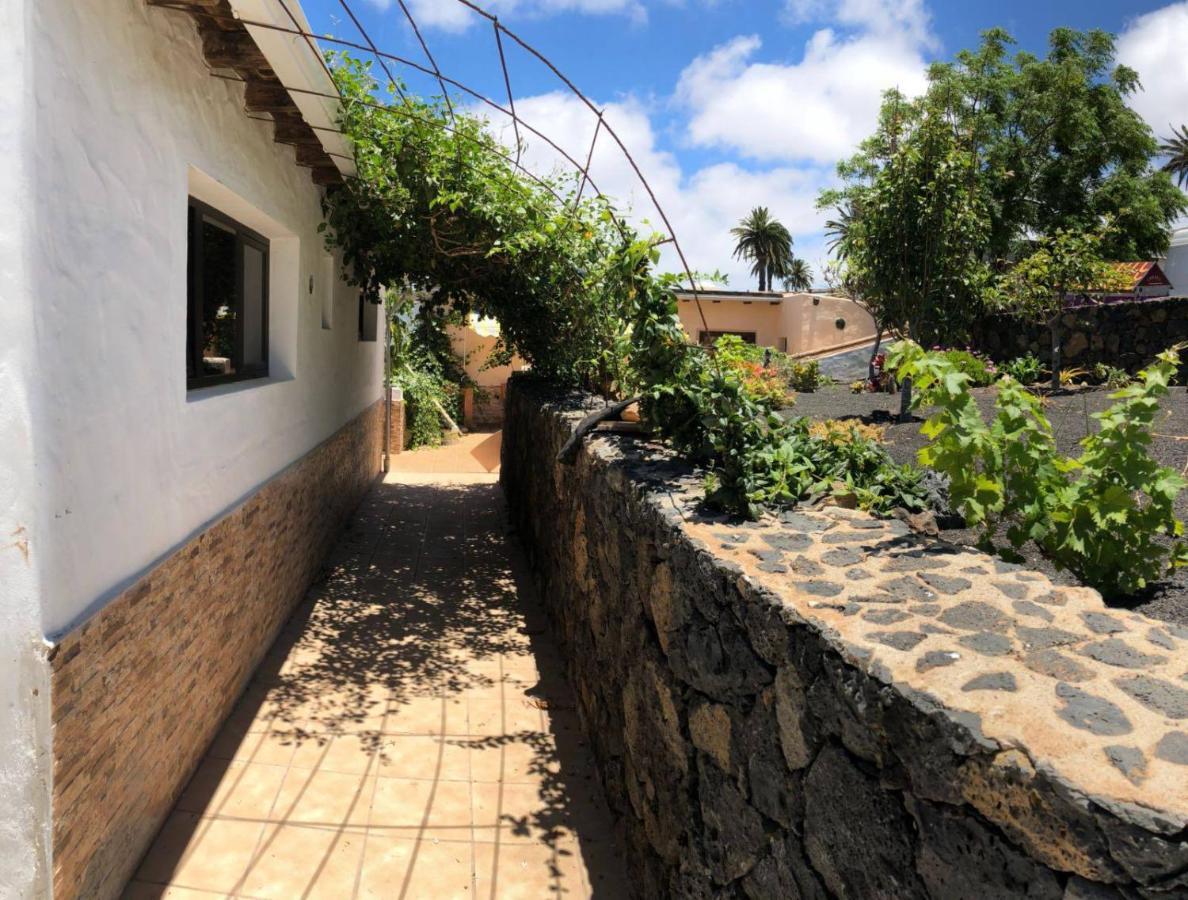 Casa Palmera Y Casa Datil Haría Exteriér fotografie