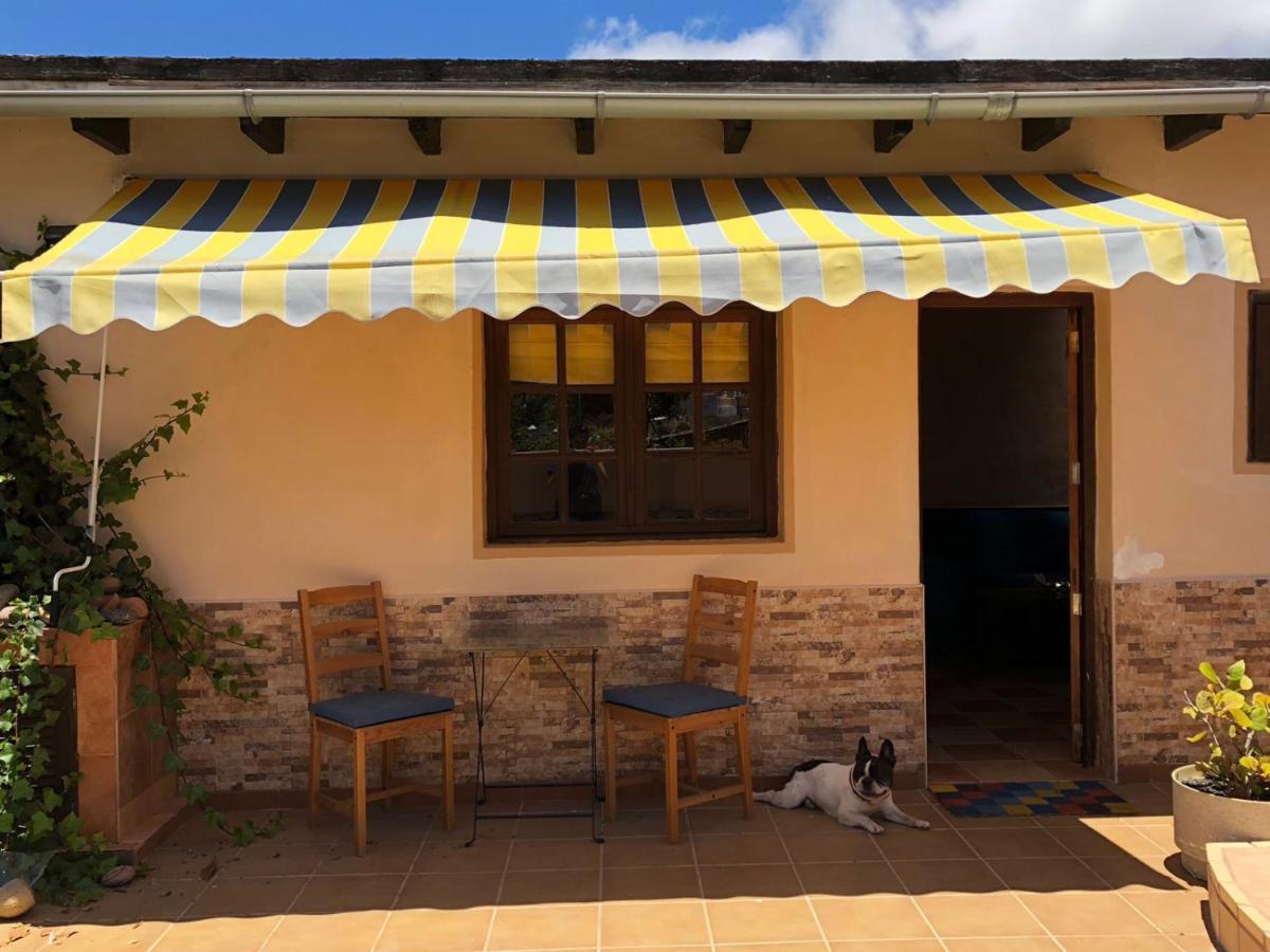 Casa Palmera Y Casa Datil Haría Exteriér fotografie
