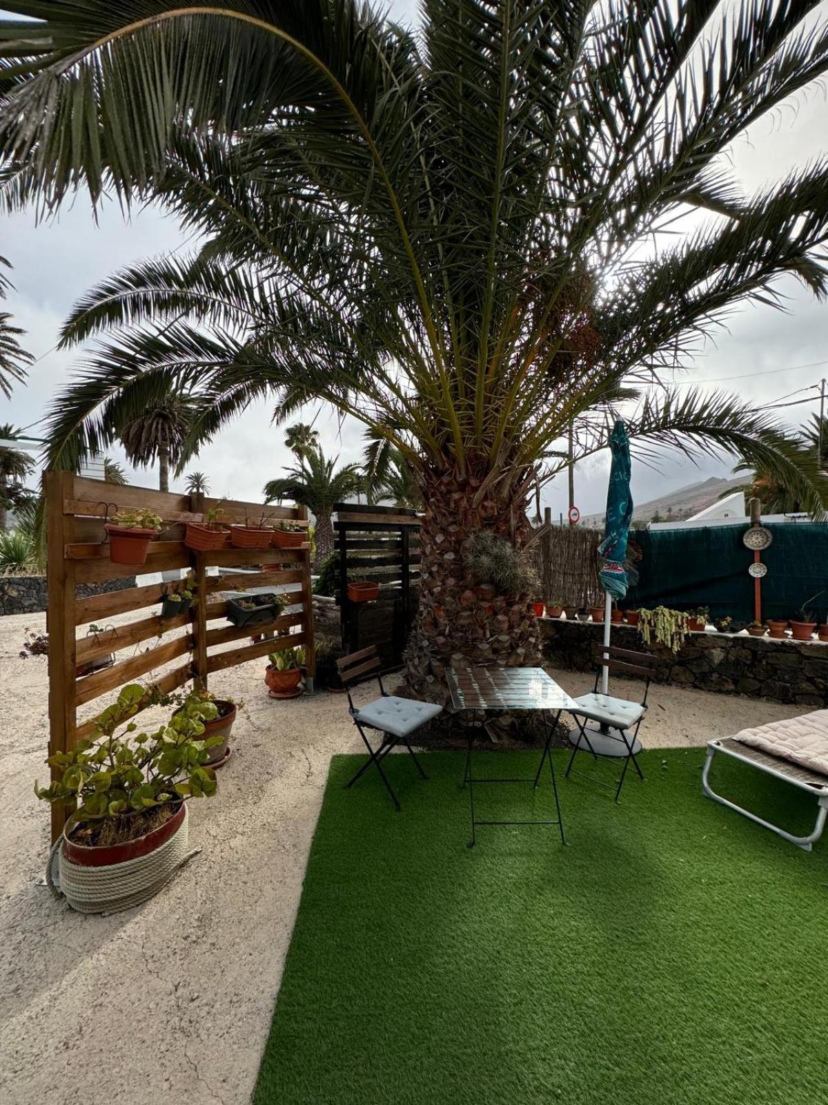 Casa Palmera Y Casa Datil Haría Pokoj fotografie
